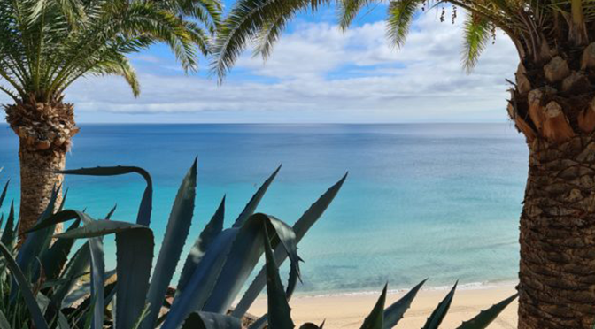 Meerblick im ROBINSON Esquinzo Playa auf Fuerteventura mit Palmen und türkisblauem Atlantik