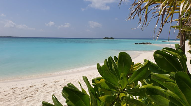 Traumstrand im ROBINSON Noonu mit weißem Sand, türkisblauem Wasser und tropischer Vegetation