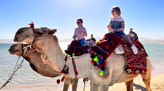 Kinder beim Kamelreiten am Strand von Soma Bay in Ägypten