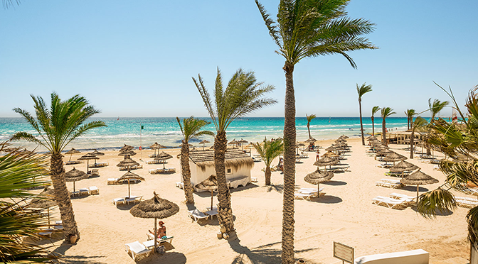 Strandurlaub in Tunesien mit Palmen, Liegen und türkisblauem Meer